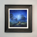 Moonlit Moments